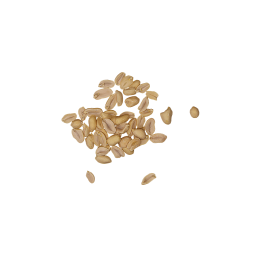Peanuts in a Pile