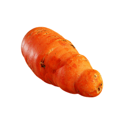 Young Carrots