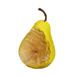 Bitten Pear