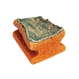 Old Dish Sponge