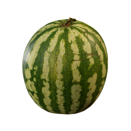 Ripe Watermelon