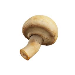 Съедобный гриб