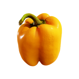 Желтый болгарский перец