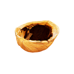 Nut Shell