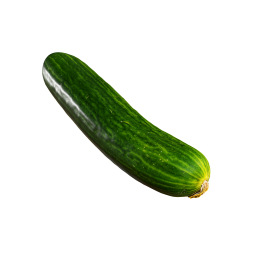 Smooth Cucumber