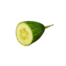 Piece of Green Cucumber