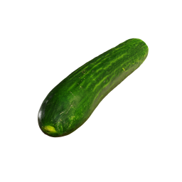 Long Smooth Cucumber