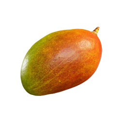 Mango-Frucht