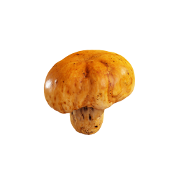 Маленький желтый гриб