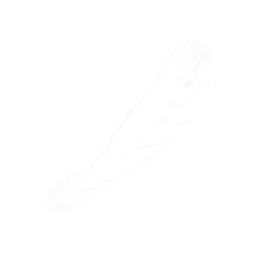 Goose Feather
