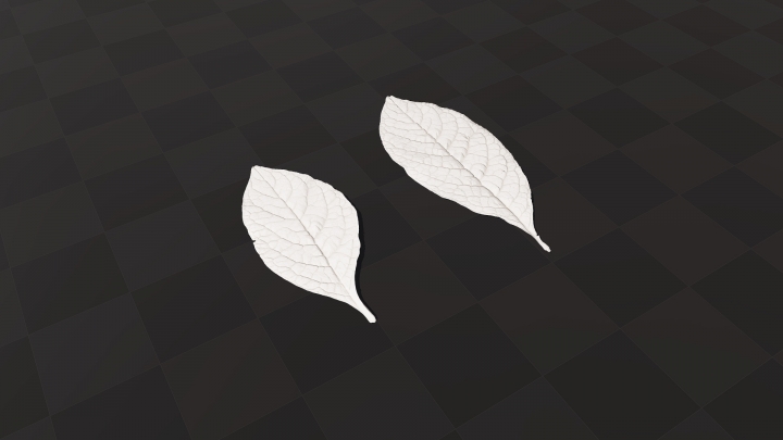 Different Leaves of Lakonos
