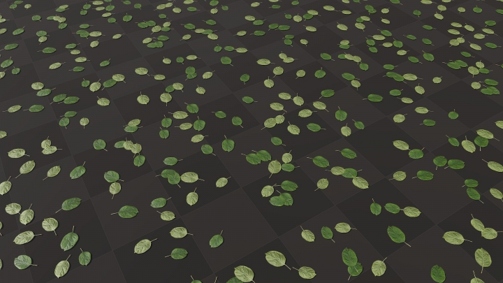 Green Hydrangea Leaves