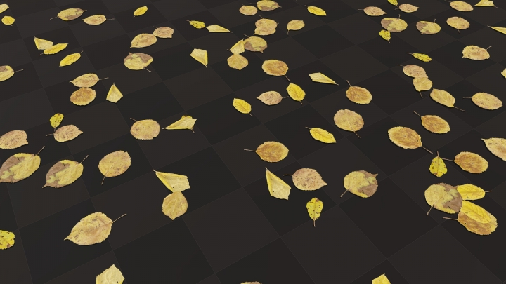 Différentes feuilles jaunes