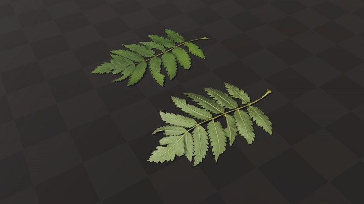 Green Bush Leaf