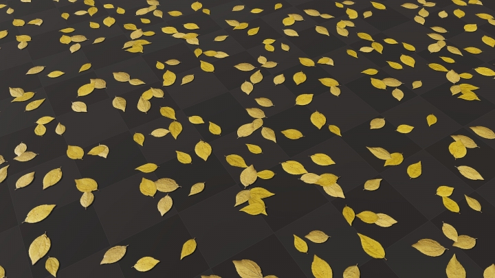 Yellow Tree Leaves