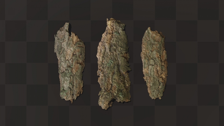 Fragments of pine bark