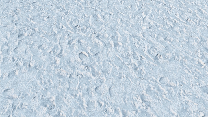 Snow with Boot Marks