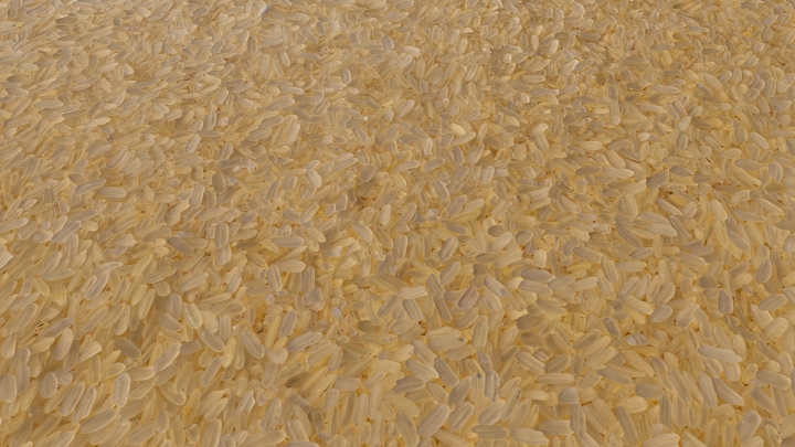 Milled Rice