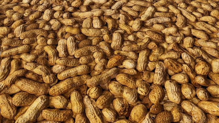 Unpeeled peanuts