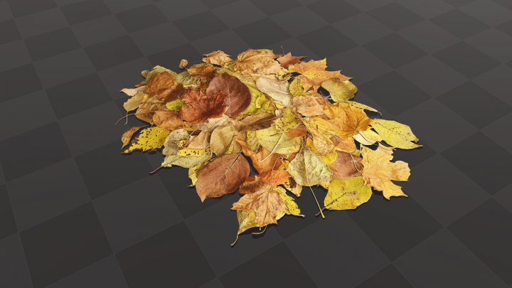 Tas de feuilles d'automne