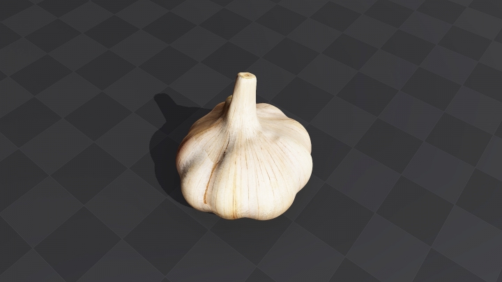 Head of Garlic
