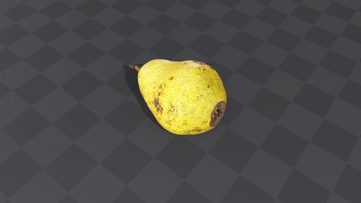 Old Pear