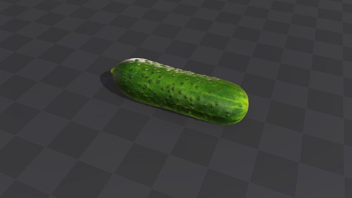 Pimply Cucumber