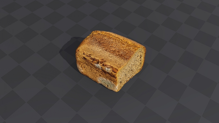 Bread with Mold
