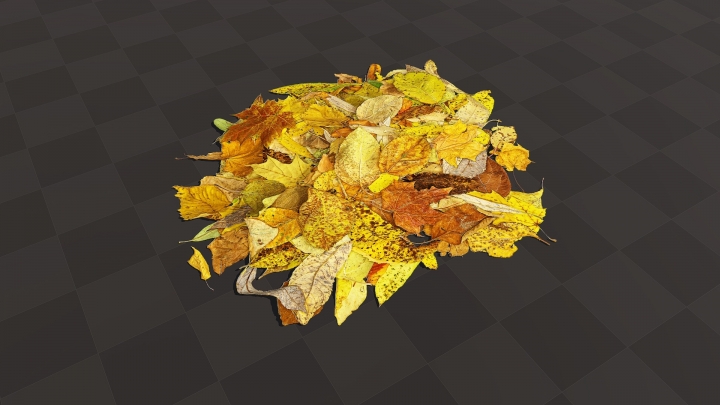 Bunch of Autumn Leaves