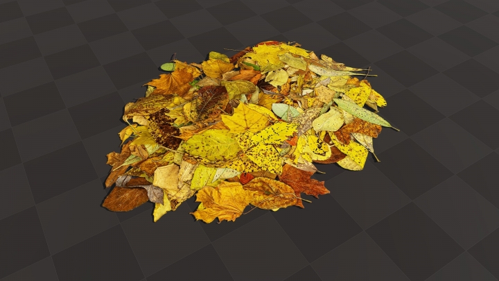 Bunch of Autumn Leaves