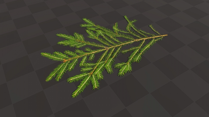 Green Spruce Branch
