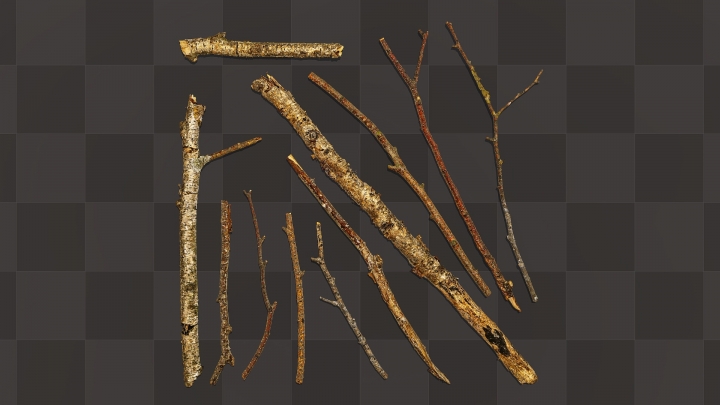 Birch Sticks