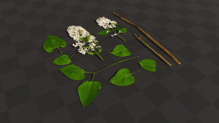 Lila Blätter und Blüten