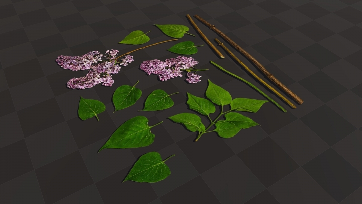 Lilac Leaves and Stems