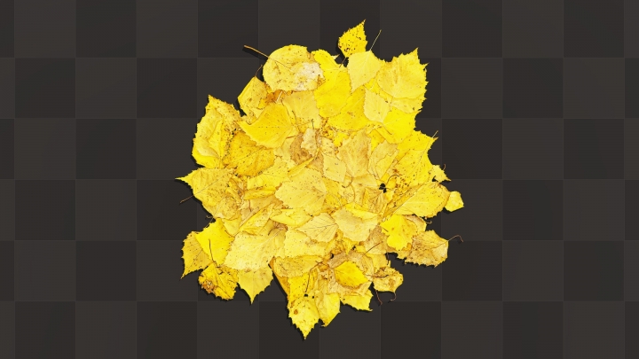 Yellow Pile of Leaves