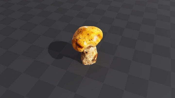 Mushroom «Oiler»