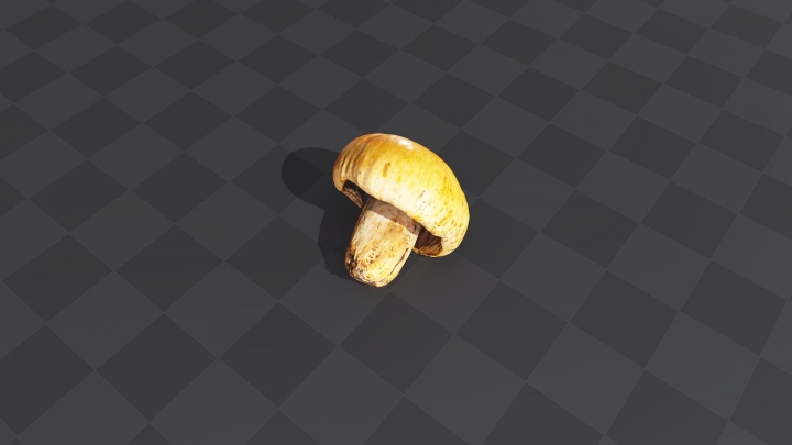 Small Yellow Mushroom