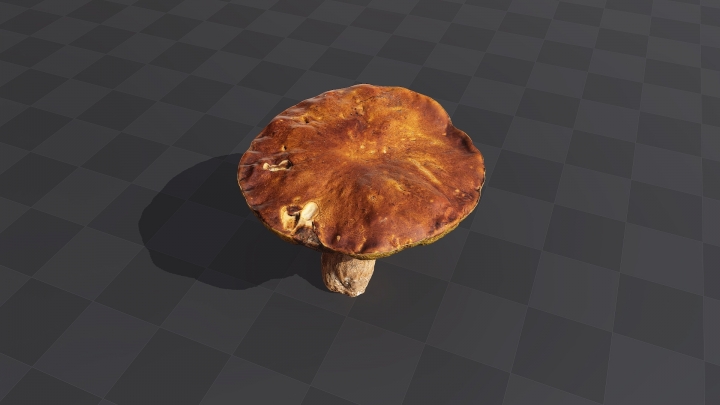 Big Brown Mushroom