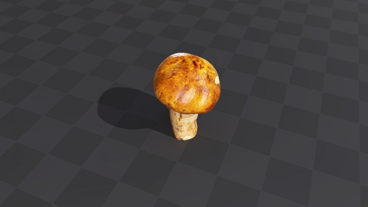 Yellow Edible Mushroom