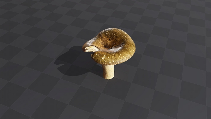 Dark Forest Mushroom