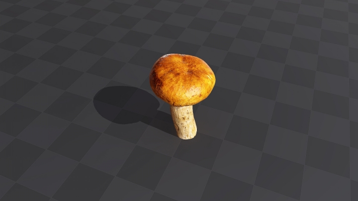 Oily Forest Mushroom