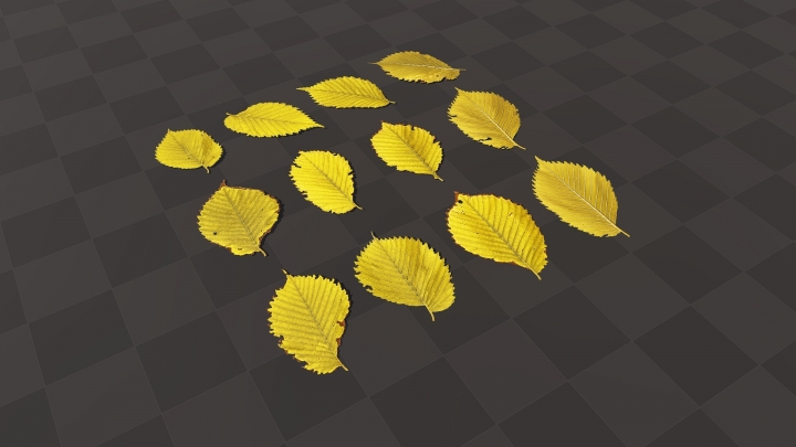 Желтые листья Вяза