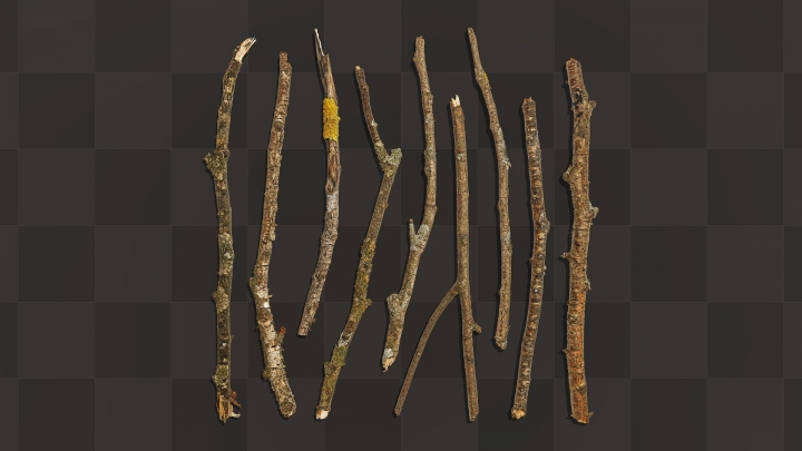 Birch Sticks