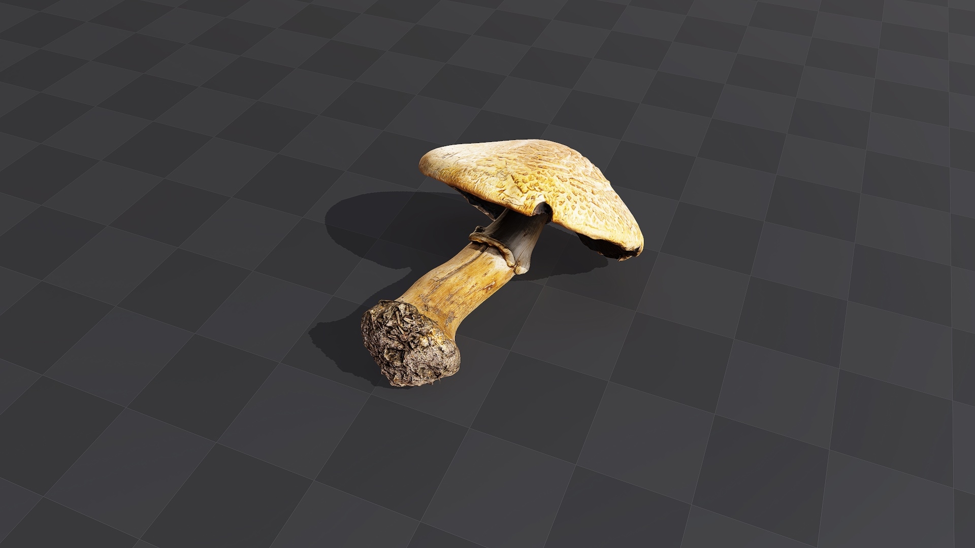 Large Forest Mushroom - Download Free 3d Model With High Quality Textures