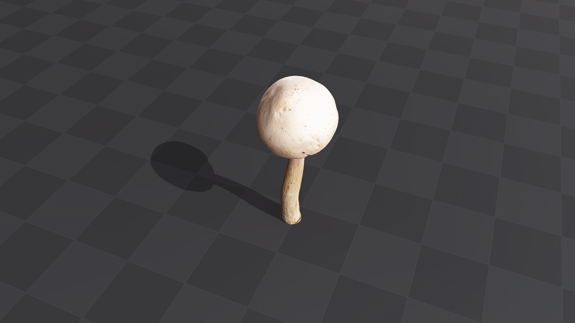 Forest Mushroom - Download Free 3d Model With High Quality Textures